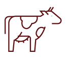 Cow icon